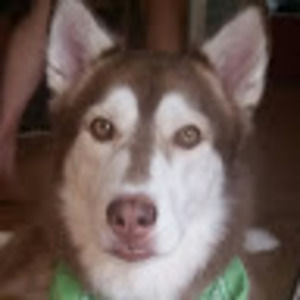 Meet your Posher, Kylie